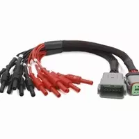 Deutsch 12way Breakout Lead